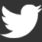 rede social twitter